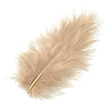 Pene - KP PENE DECOR MARABOU 10CM 15/SET NISIPIU 6619533