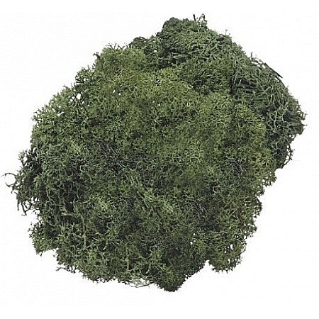 Muschi si iarba - KP MUSCHI 50GR VERDE ISLANDA INCHIS 6694462