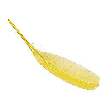 Pene - KP PENE DECOR GASCA 16-21CM 8/SET GALBEN 6620051