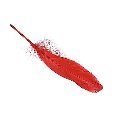 Pene - KP PENE DECOR GASCA 16-21CM 8/SET ROSU 6620159