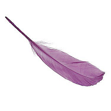 Pene - KP PENE DECOR GASCA 16-21CM 8/SET VIOLET 6620272