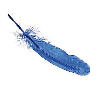 Pene - KP PENE DECOR GASCA 16-21CM 8/SET ALBASTRU 6620353