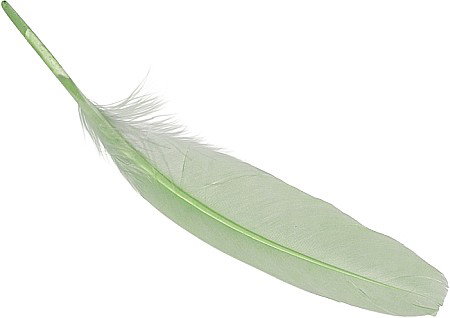 Pene - KP PENE DECOR GASCA 16-21CM 8/SET VERDE MAI 6620434