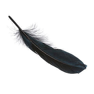 Pene - KP PENE DECOR GASCA 16-21CM 8/SET NEGRU 6620612