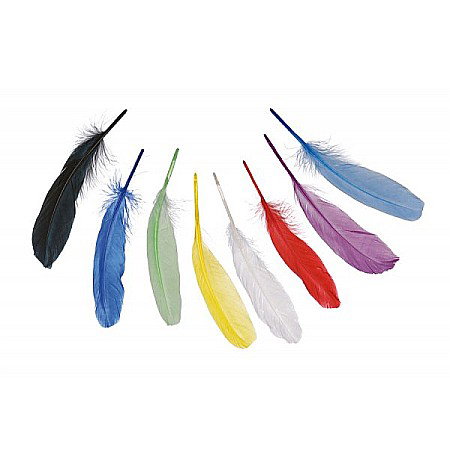 Pene - KP PENE DECOR GASCA 16-21CM 8/SET COLORATE 6620990
