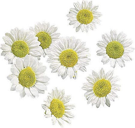 Decorațiuni pentru Masa de Paște și Coronițe Decorative - KP MARGARETE TEXTILE 3-3.5 CM 22/SET ALBE 7611102