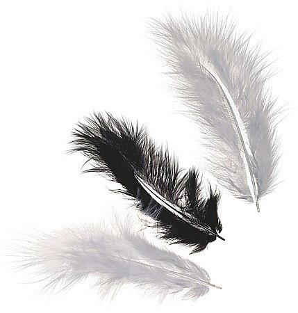Pene - KP PENE DECOR MARABOU 10CM 15/SET MIX NEGRU 6619961
