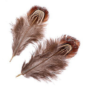 Pene - KP PENE DECOR FAZAN 3-9CM 1.5G NATUR 6617982