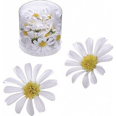 Decorațiuni pentru Masa de Paște și Coronițe Decorative - KP MARGARETE TEXTILE 4 CM 25/SET ALB 6529864