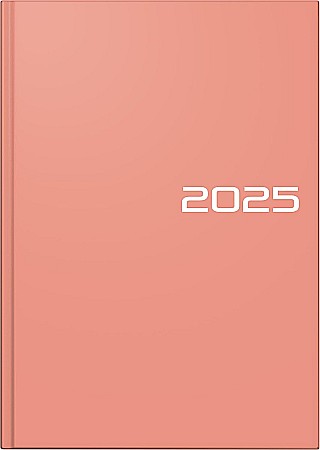 BR AGENDA DATATA ZILNIC BRUNNEN A5 2025 BALACRON SOMON 79561065 [0]