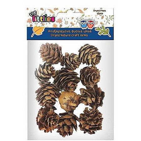 Muschi si iarba - DIA CON PIN DECOR 12/SET THE LITTLIES 4620173