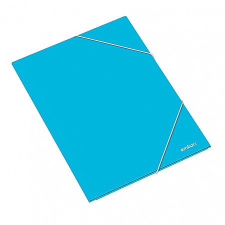 AM DOSAR CARTON CU ELASTIC A3 DIVERSE CULORI 163825 [2]