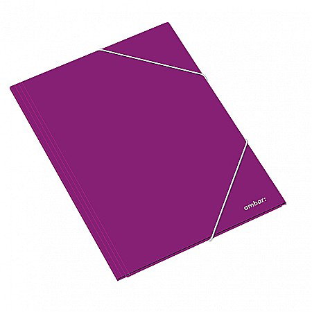 AM DOSAR CARTON CU ELASTIC A3 DIVERSE CULORI 163825 [4]