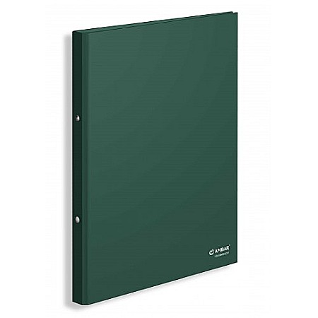 Caiete mecanice A4 - AM CAIET MECANIC IDEAS A4 20 MM 2 INELE VERDE 180907