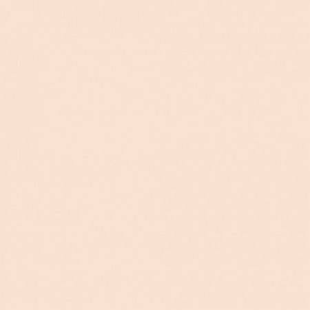 Pastă de modelaj fină cu uscare la aer Silk Clay 40G NUDE 79111 [1]