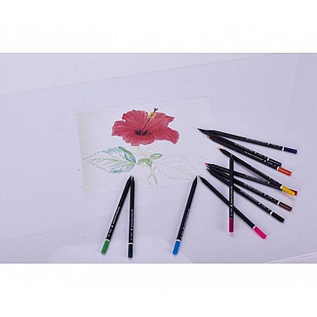AS CREIOANE COLORATE 12/SET + ASCUTITOARE ASTRA 312114001 [2]