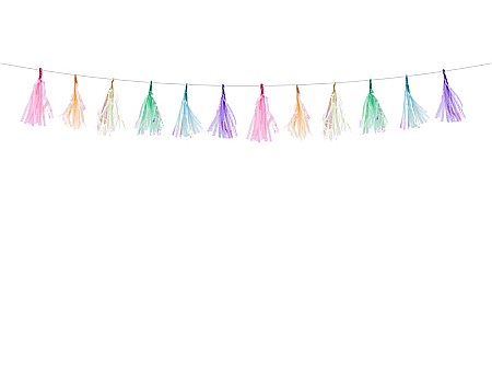 ARTICOLE PARTY - PD GHIRLANDA CU CIUCURI, Tassel garland, mix 1.2m TGA1-000