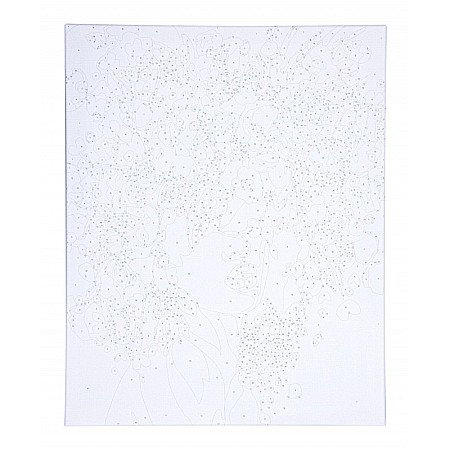 AS PANZA PICTURA PE NUMERE 40*50CM CU VOPSELE SI PENSULE, PORTRET IN FLORI 801022904 [5]