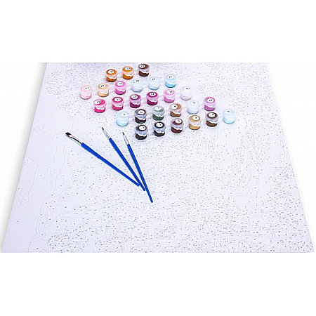 AS PANZA PICTURA PE NUMERE 40*50CM CU VOPSELE SI PENSULE, MAGICUL SANTORINI 801023908 [2]