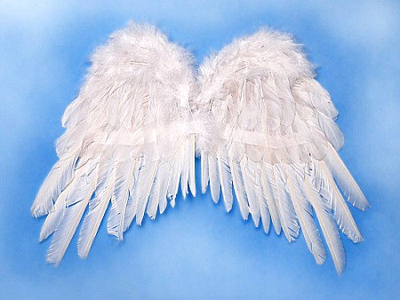 PD ARIPI, Angel's wings, white, 53 x 37cm SK1-008 [1]