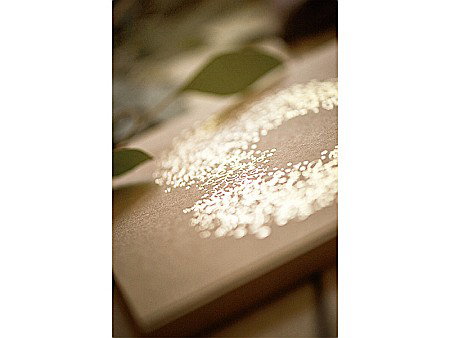 PD CARTE DE OASPETI 20.5*20.5CM 22F COPERTA KRAFT CU ORNAMENT AURIU KWAP48 [5]