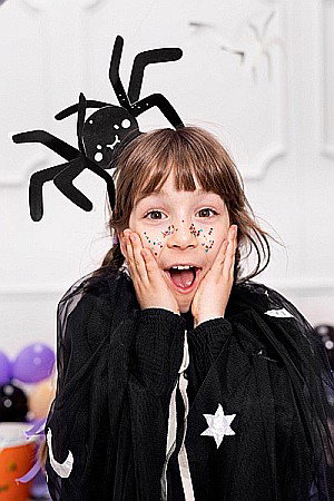 PD DECORATIUNI DIN HARTIE, Paper decoration Spiders, 27x17cm, black 5/set DNT10 [5]