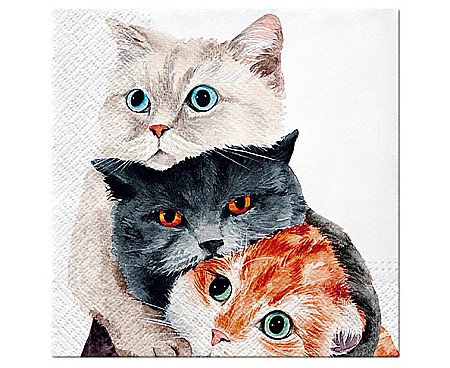 Farfurii/ Pahare/ Servetele/ Paie/ Tacamuri/ Fete masa - GOD SERVETELE PAW 33*33CM 20/SET BETTER TOGETHER SDL131500
