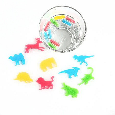 DE CAPSULE MAGICE CU ANIMALE SALBATICE CARE CRESC IN APA 12/SET KIDEA TKAZ12KA [1]