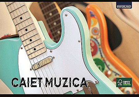 Caiete - CAIET MUZICA 24F 17*24CM 24800013/ 24000038