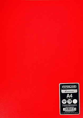 CAIET A4 60F VELIN COPERTA PLASTIC 24000287 [3]