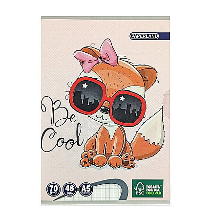 RECHIZITE SCOLARE IPB - CAIET A5 48F PATRATELE PREMIUM 70G 24800003