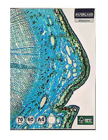 Caiete - CAIET A4 60 FILE 70g PATRATELE PREMIUM 24800005