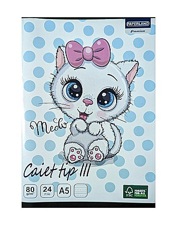 Caiete - CAIET TIP III A5 24F 80G  24000198