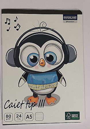 CAIET TIP III A5 24F 80G  24000198 [1]