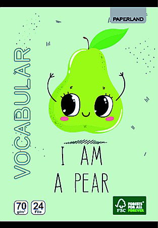 Caiete - VOCABULAR 24F 70G 24800016/24000032