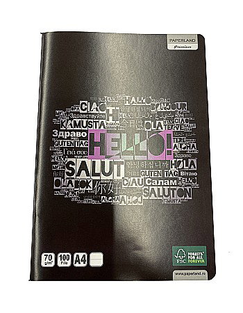 Caiete - CAIET A4 100F 70GR PATRATELE 24800019