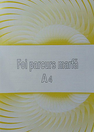 HARTIE PRODUSE DIN HARTIE - GOL FOI PARCURS MARFA INSERIAT A4 ALBASTRE TP000003