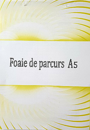 HARTIE PRODUSE DIN HARTIE - GOL FOI PARCURS PERSOANE MARFA A5 ALBASTRE TP000011