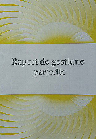 RAPORT GESTIUNE PERIODIC A4 [0]