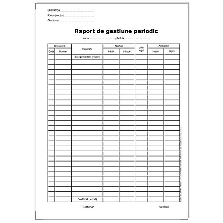 RAPORT GESTIUNE PERIODIC A4 [1]