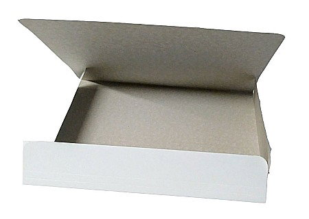 DOSAR PLIC DE CARTON [1]