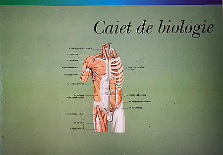 GOL CAIET BIOLOGIE GOLD 24 FILE A4 [0]