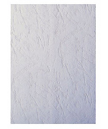 ND COPERTA CARTON IMITATIE PIELE A3 [1]