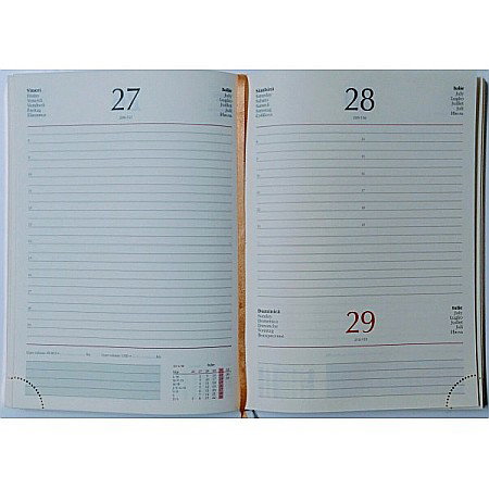 AG REZERVA AGENDA DATATA ZILNICA 2025 15*21 CM COPERTA CARTON [0]