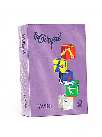 HARTIE PRODUSE DIN HARTIE - ADA CARTON COLOR A4 160GR 250/SET FAVINI MOV 220