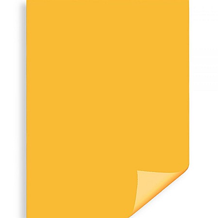 Carton color 50x70 - CARTON COLOR IPB 50*70CM 200GR GALBEN INCHIS PN431
