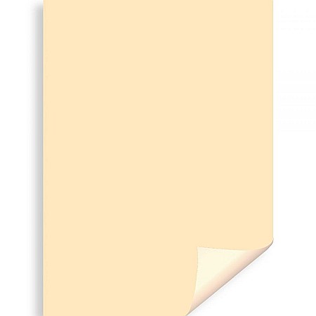 Carton color 50x70 - CARTON COLOR IPB 50*70CM 200GR CREM PN435