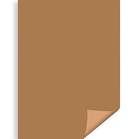 Carton color 50x70 - CARTON COLOR IPB 50*70CM 200GR MARO PN452