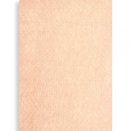 Fetru 40x60 cm - PASLA IPB 40*60CM 1MM CULOAREA PIELII PN662
