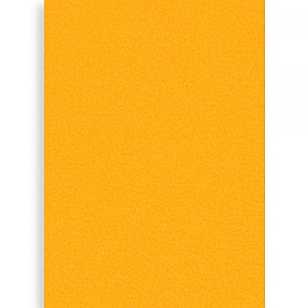 Fetru 40x60 cm - PASLA IPB 40*60CM 1MM AUR INVECHIT PN666